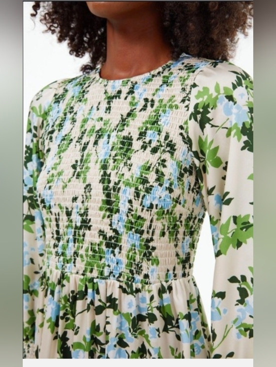 Tuckernuck English Ivy Floral Long-Sleeve  Maxi Dress in Cream and Green Size XS - Picture 3 of 7